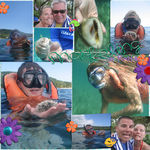 Roatan2-WEB.jpg